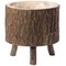 Wooden Stump Tree Log with Bark Planter Pot with Small Tree Branch Legs